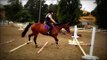 Jumping Lesson June 25th - OTTB - Skyline Ranch Equestrian Center