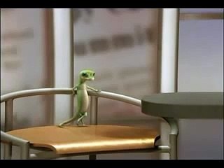 The Geico Gecko
