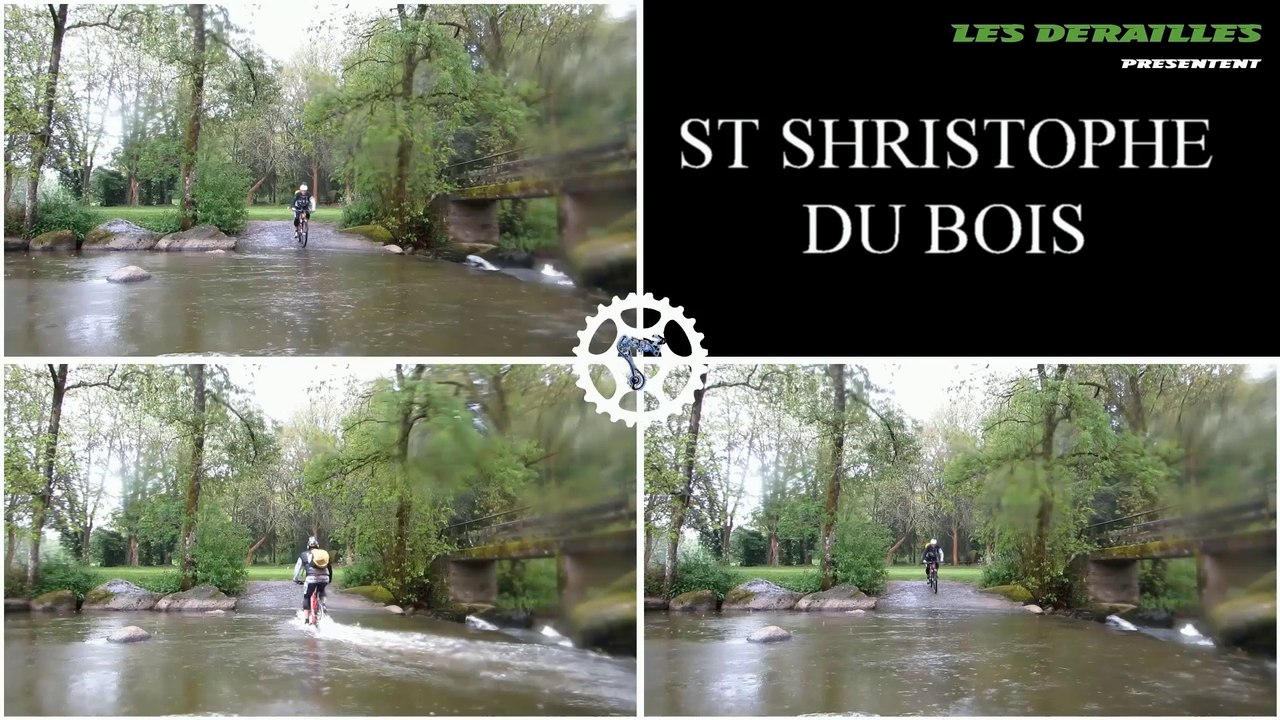 ST CHRISTOPHE DU BOIS - 2015