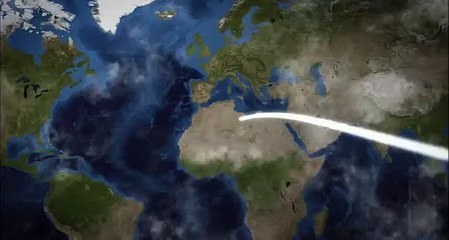 Ours blanc (Y.A. Bertrand / La terre vue du ciel 2007)