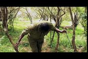 Poaching in Kenya Worsens