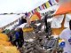 Mount Everest: 22 climbers died after Nepal earthquake-27 Apr 2015