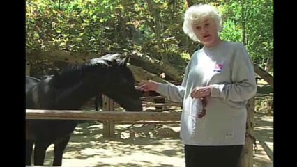 Willie & Bea Arthur Chamerline College of Nursing PSA