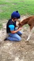 Adorable Baby Horse loves hugs