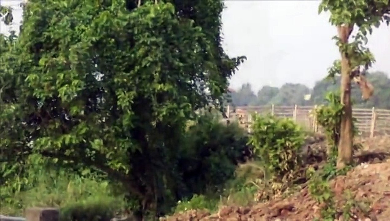 The Surcumstances Of The River Bridge, West Bengal, India3