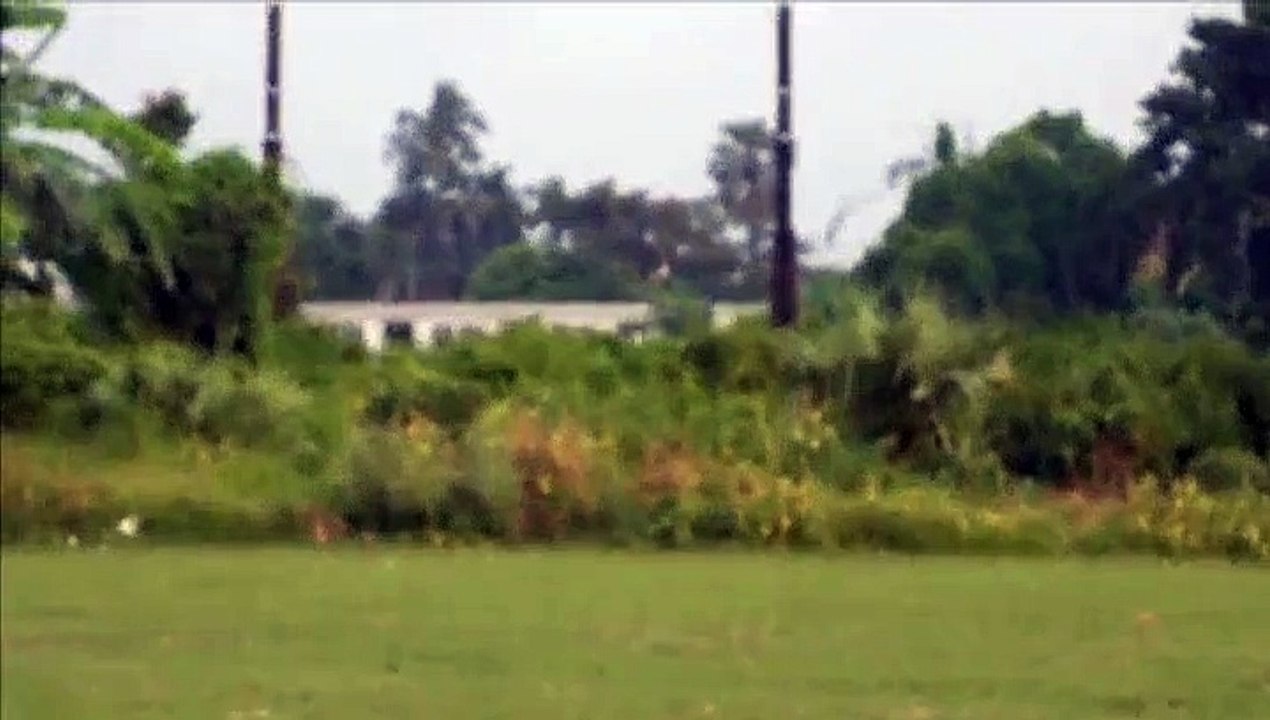Two Crow Playing In The Play Ground