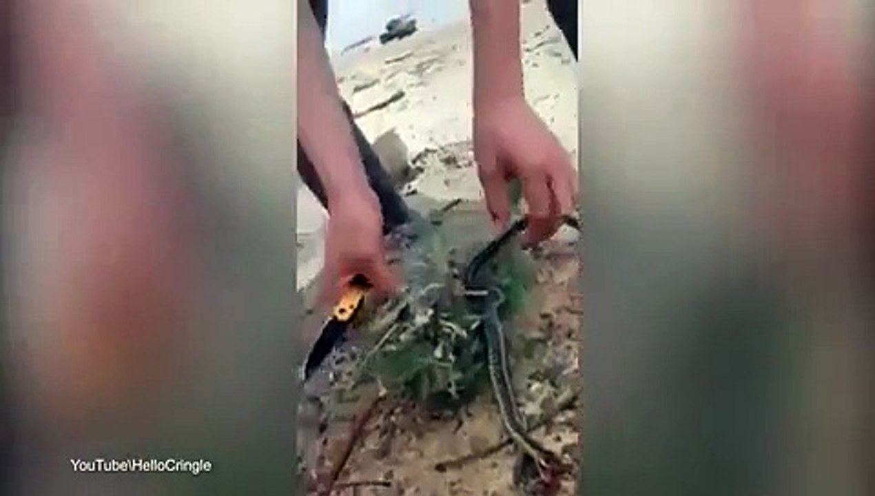 Teens get a surprise after rescuing trapped snake video, funny video, amazing videos, entertainment videos,
