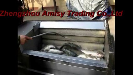 Fish Scaling Machine, Fish Descaling Machine with High Capacity
