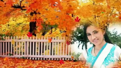 Udit Narayan And Alka Yagnik Love Songs Collection