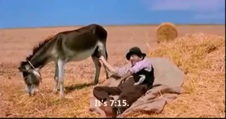 Amazing - Time Check from Donkey Balls