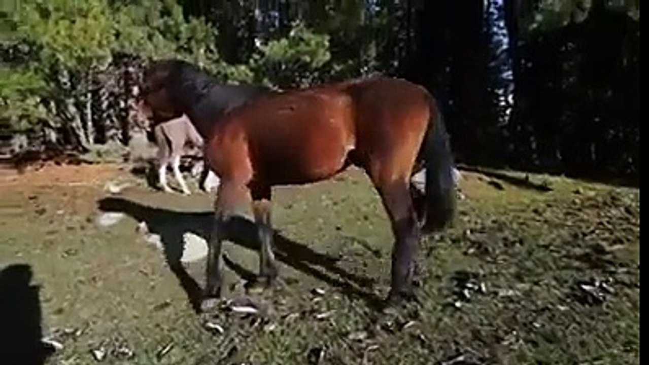 Showing the real face's and places of Gilgit Baltistan