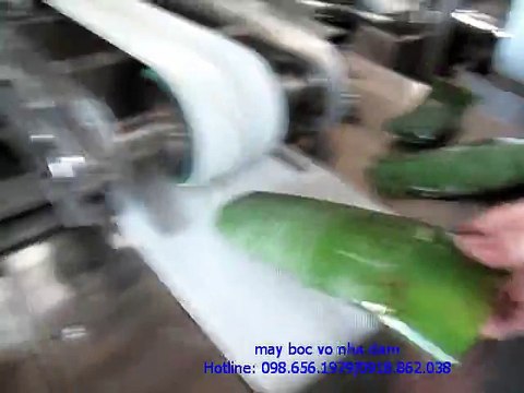 máy bóc vỏ nha đam tự động, máy tách vỏ cây lô hội