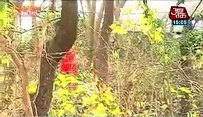 Jannat Ne Ki Maut Se Lukka-Chippi - Qubool Hai