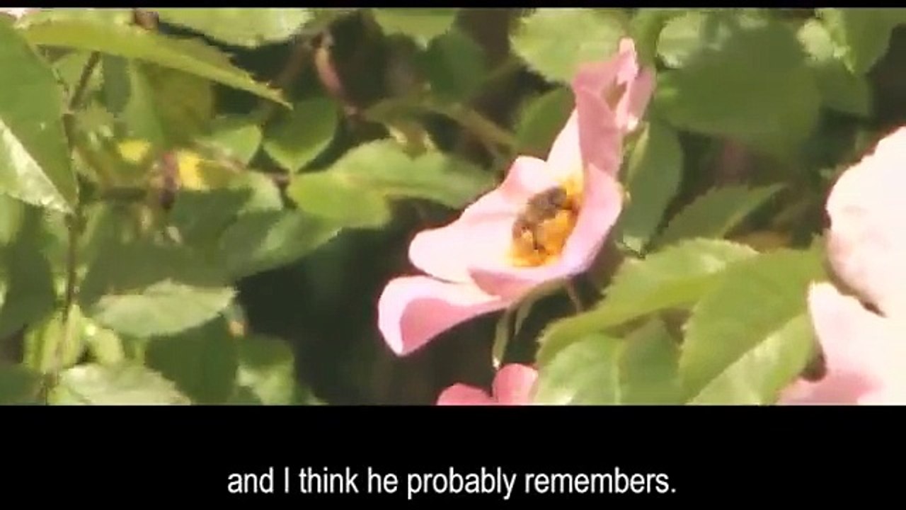 Human Rights Inquiry case study - The 'Bournewood' ruling