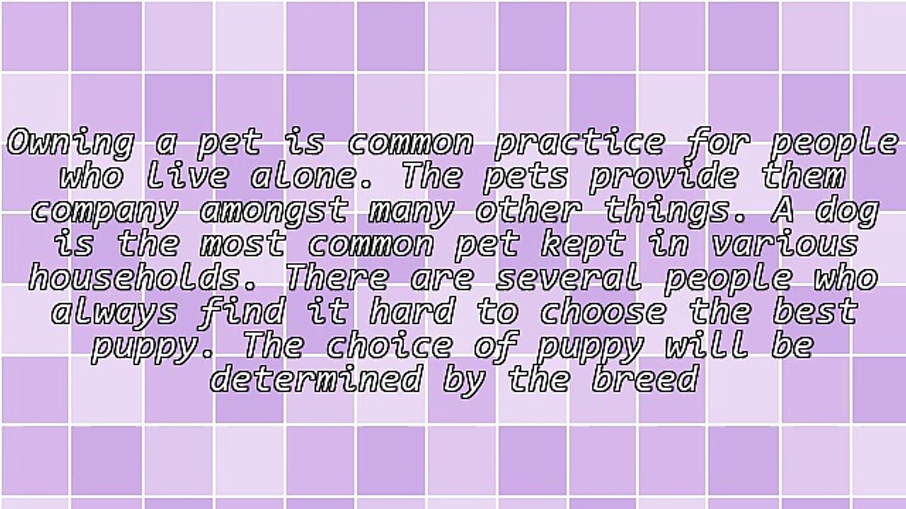 Factors To Consider In Selecting Ddr Female German Shepherds For Sale