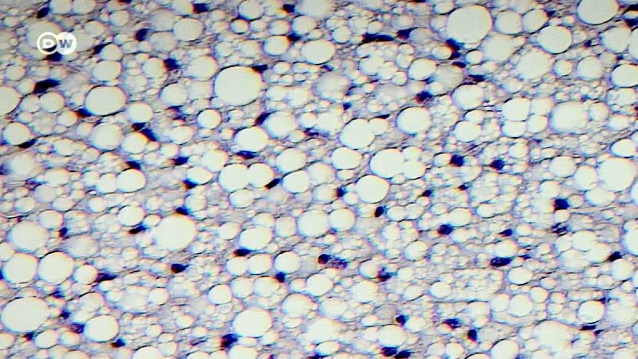 Schlankmacher Adenosin | Projekt Zukunft