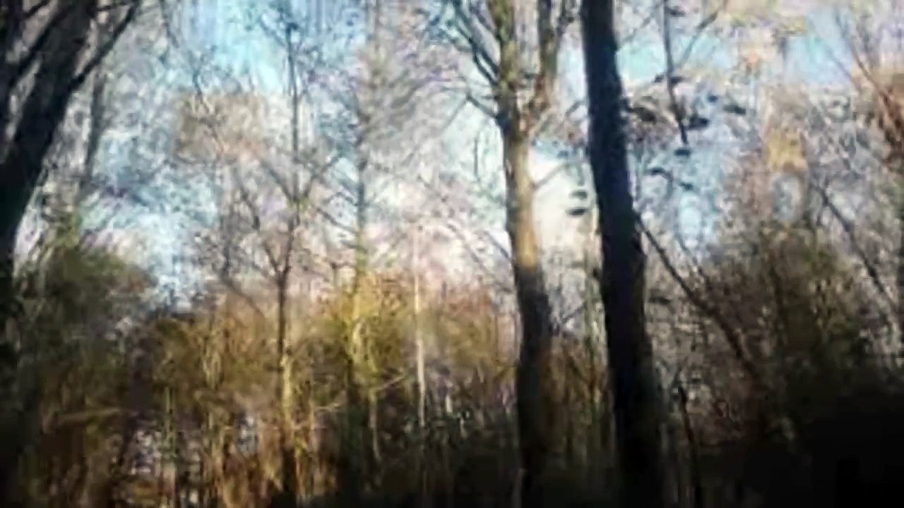 Aphex Twin - Rhubarb