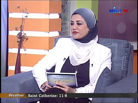 Interview with Mr. Mohamed Anwar El Sadat (CEO of Reform & Development Party) - part 2