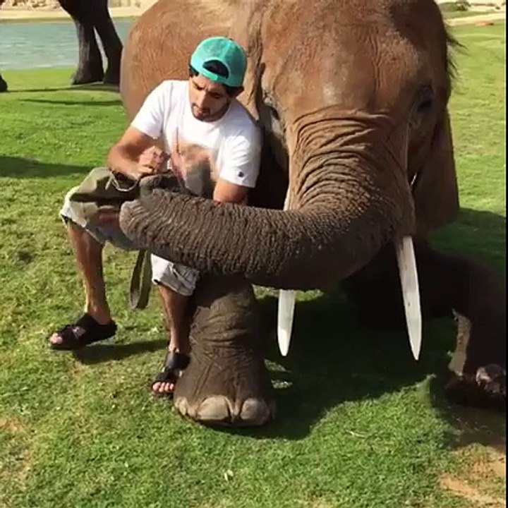hathi mera sathi