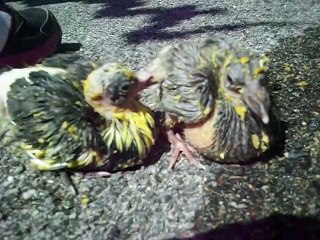 Jack et Jodie 10 jours