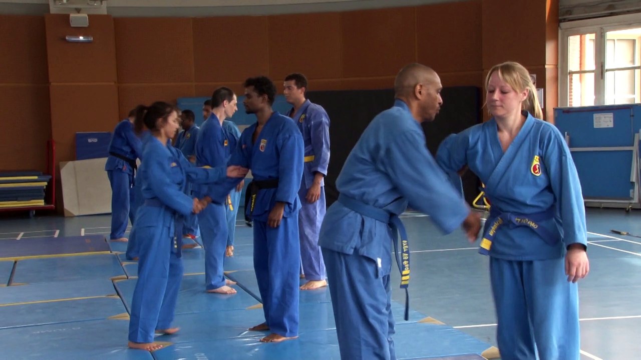 Découvrez le Vovinam- Viet Vo Dao