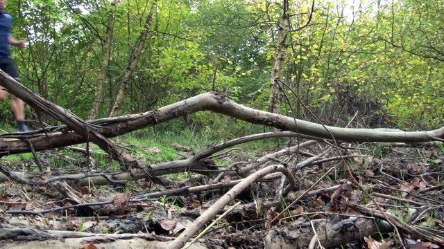 On a testé l'Asics Kayano 20