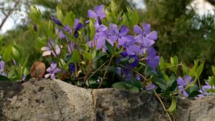 Renk Denizi İçinde Kaybolmak