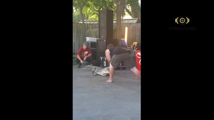 Timsahla Uğraşmanın Hazin Sonu