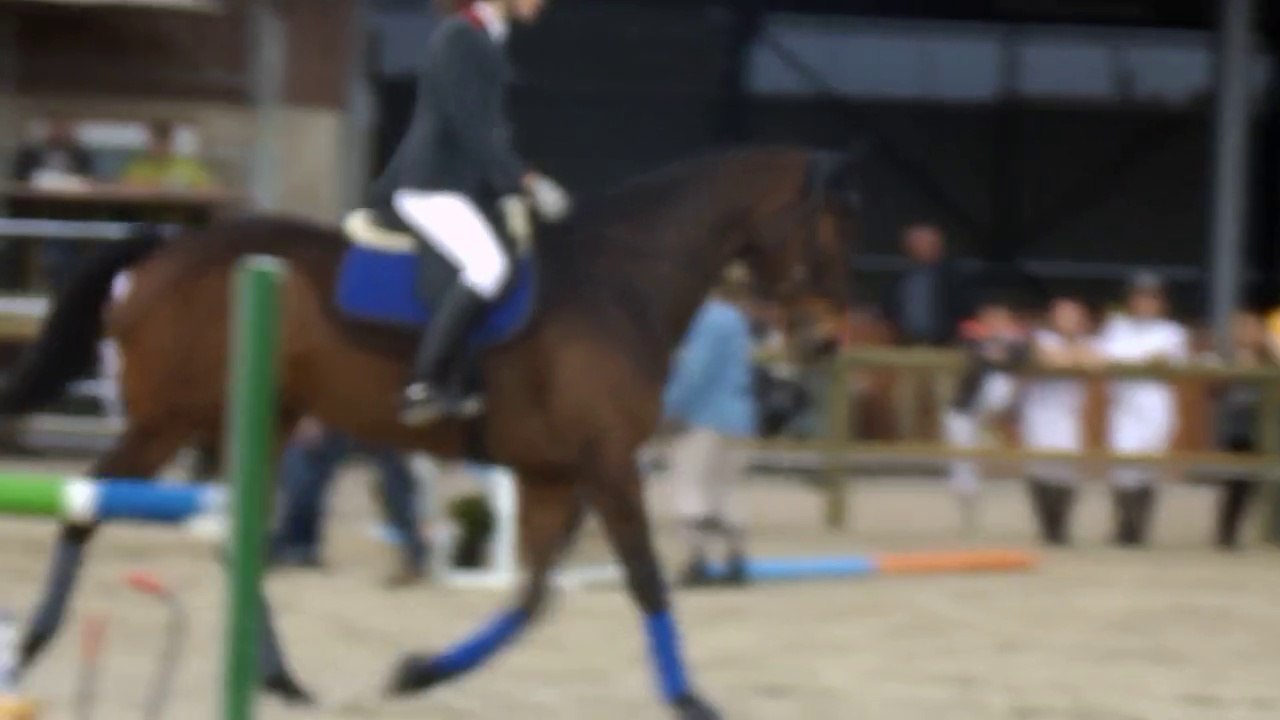 Karistan - CSO St Pierre Club 1 GP - 26 avril 2015