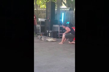 Un homme mordu par un alligator (Texas)