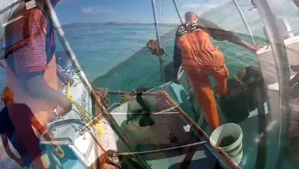 2015 - South Africa, Zambia, Botswana