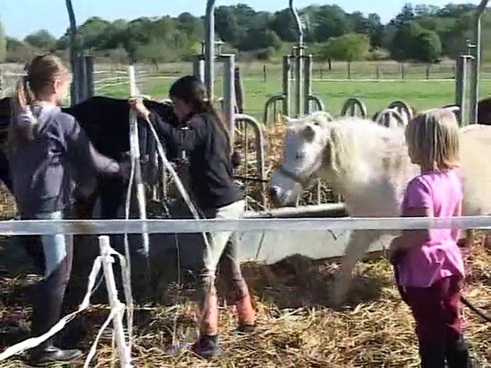 73 -  Poney club écurie Perrier