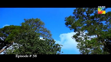Sartaj Mera Tu Raaj Mera Episode 38 HUM TV 28th April 2015.dramatize.pk