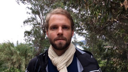 Les "Têtes chercheuses"