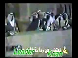 خناقة مبارك مع القذافي في جامعة الدول العربية رهيبة