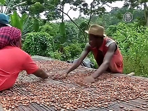 Шоколад в Африке становится всё более желанным