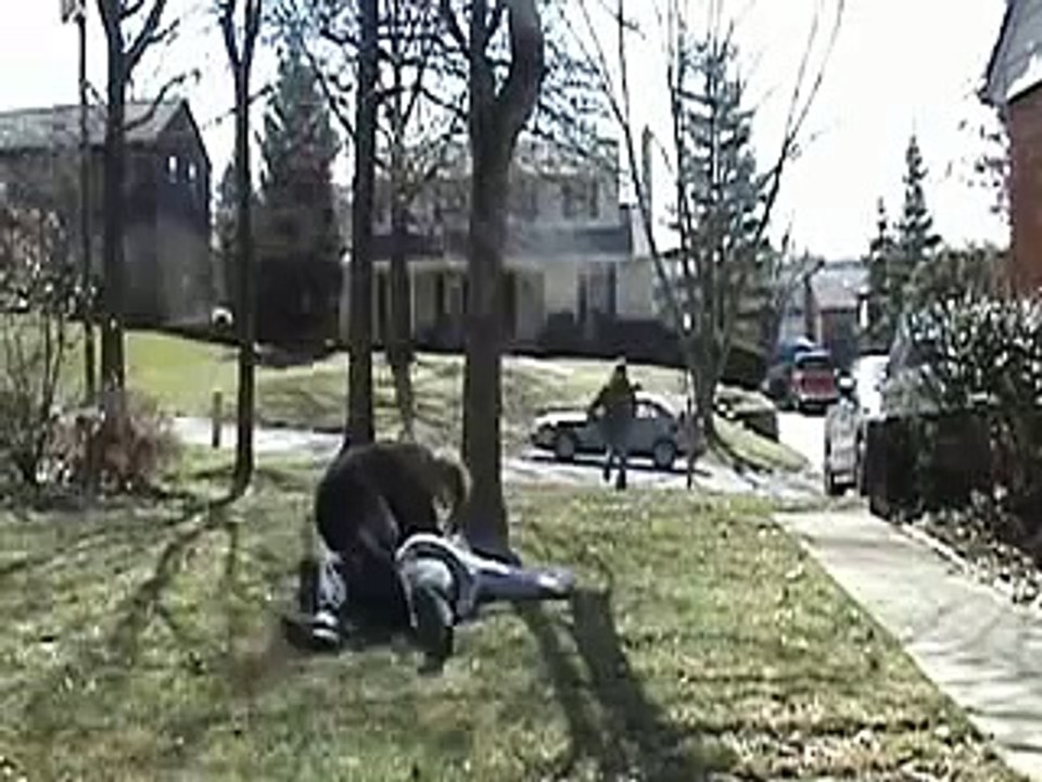 sasquatch