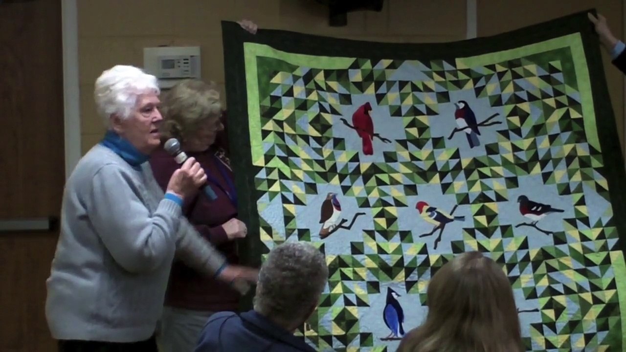 Janet Peterson - Beachpulm Quilters - Trunk Show - Febuary 2015