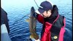 Bay of Quinte - 12.75lb Walleye Released