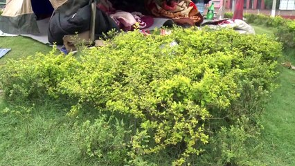 Angst und Not nach Beben: Leben im Zelt in Nepal