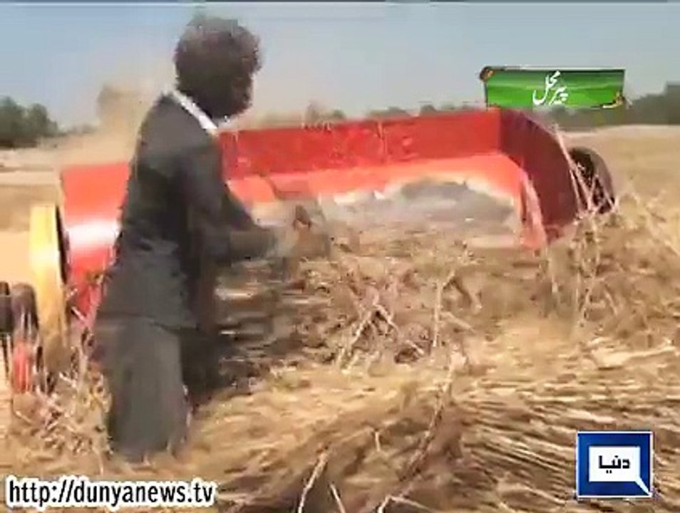 Dunya News - Pir Mahal: Farmers protest outside Health Department's office