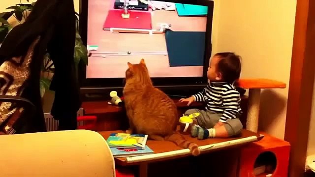 Chat et bébé Les chats et les bébés de vidéos drôles 2015 Vidéos drôles de bébé 2015