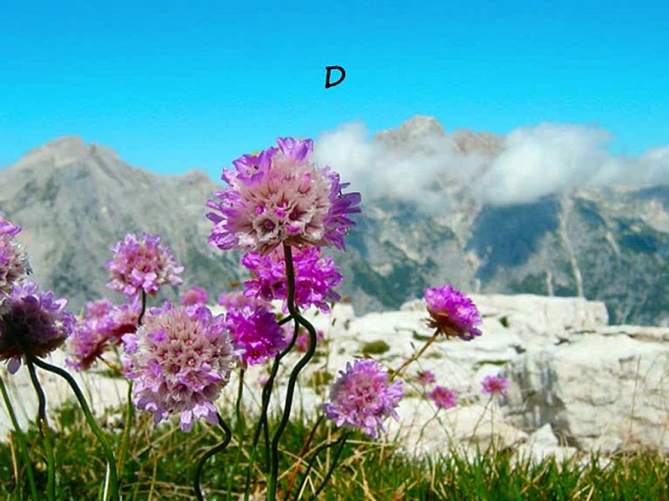 Zikirli Çok Güzel İlahi