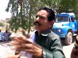 Tree Cutting in Sukkur during Tree plantation campaign