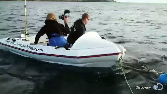 Terrifying Moment Great White Shark Attacks Boat In NZ