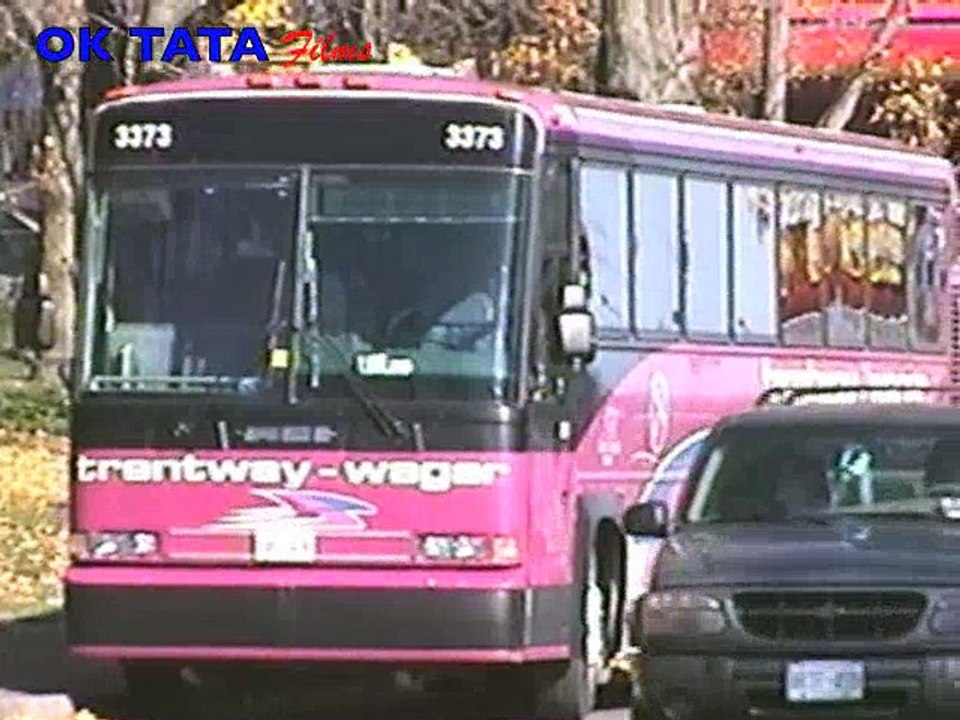 Coaches at Niagara Falls (Canada)