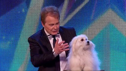 Incroyable chien qui chante dans Britain's Got Talent 2015