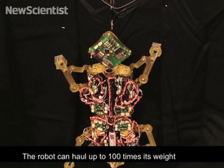 Super-strong robot pulls heavy loads
