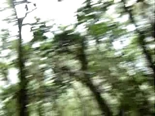 La montée rando Salazie