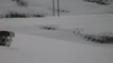 Des neiges